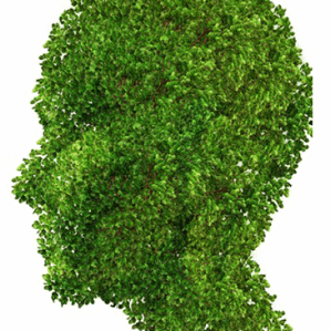 Caregiving for Early Stage Alzheimer’s