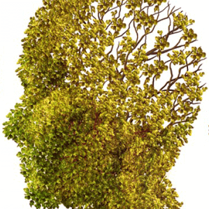 Caregiving for Middle Stage Alzheimer’s