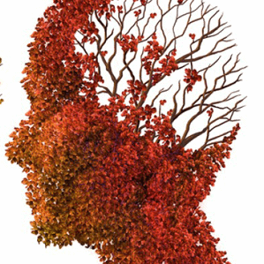 Caregiving for the late stage of Alzheimer’s